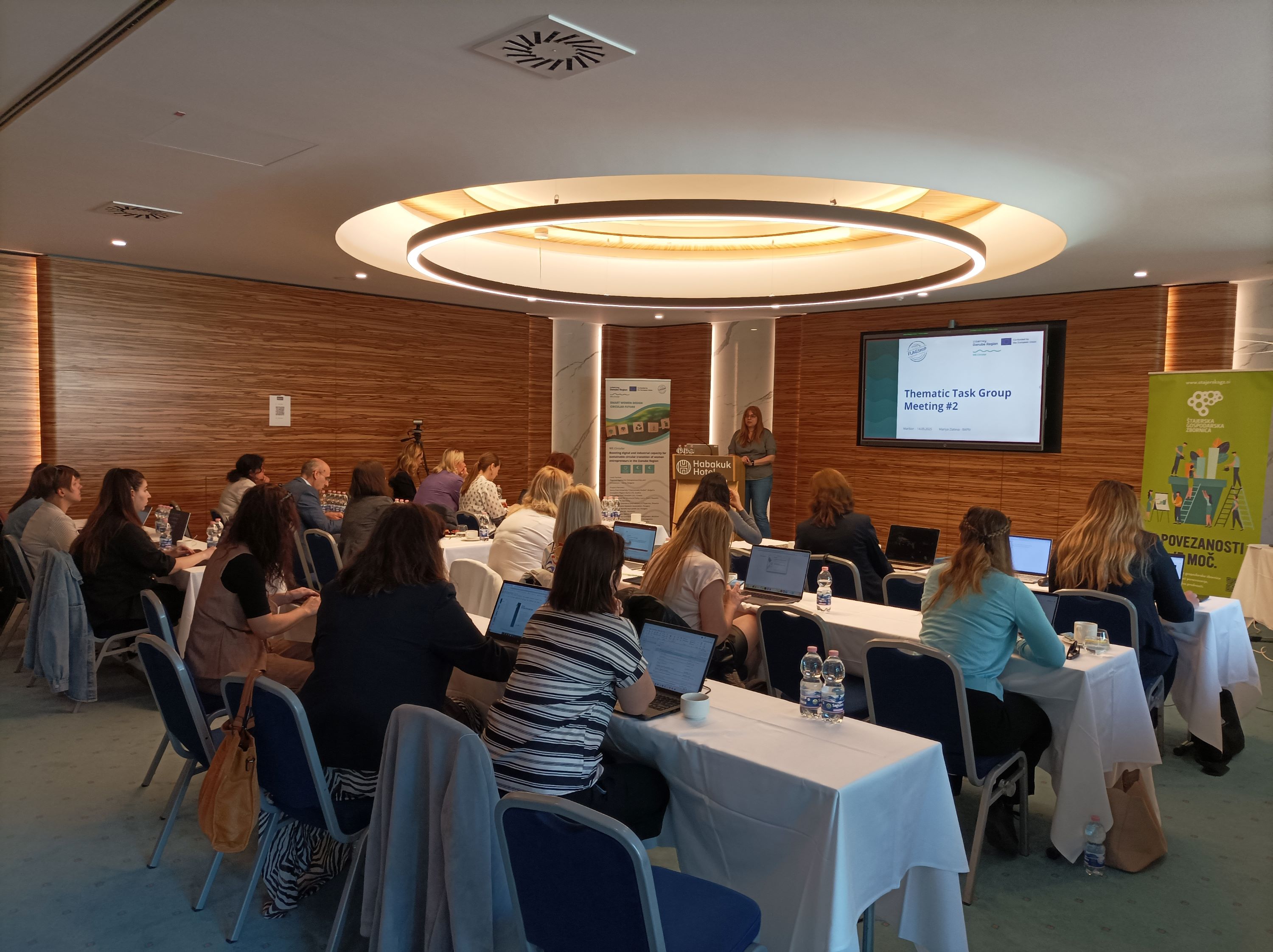 Thematic Task Group Meeting No2