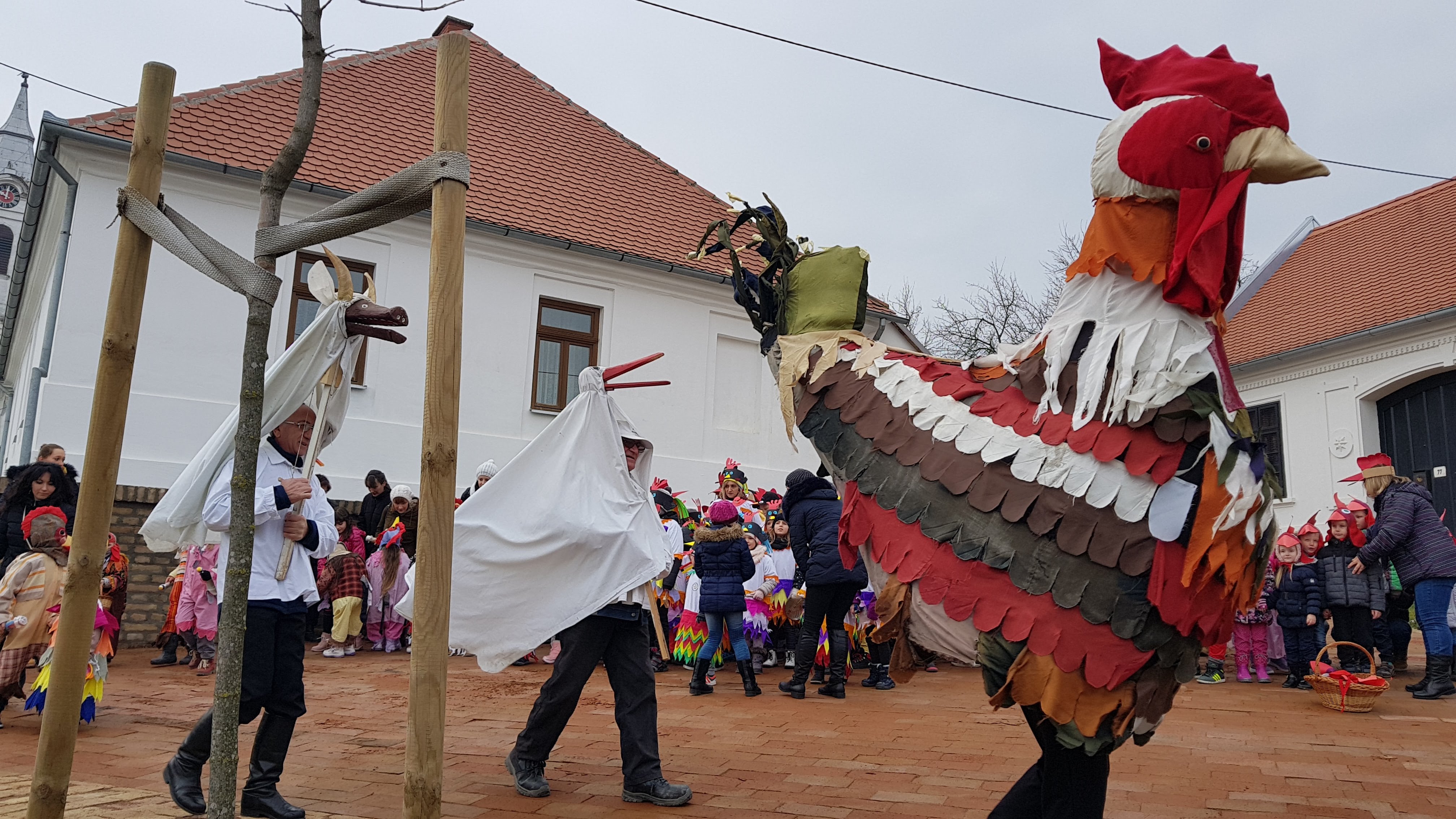 Vardarac Kakasutes - young men dressed in rooster costume