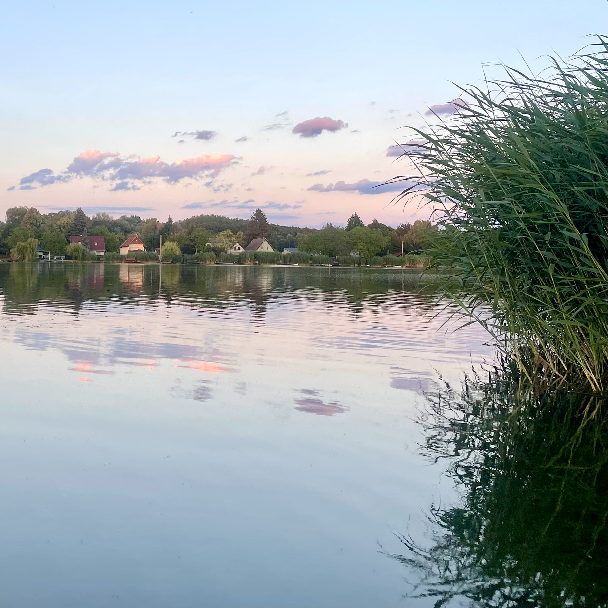 Szigetzug