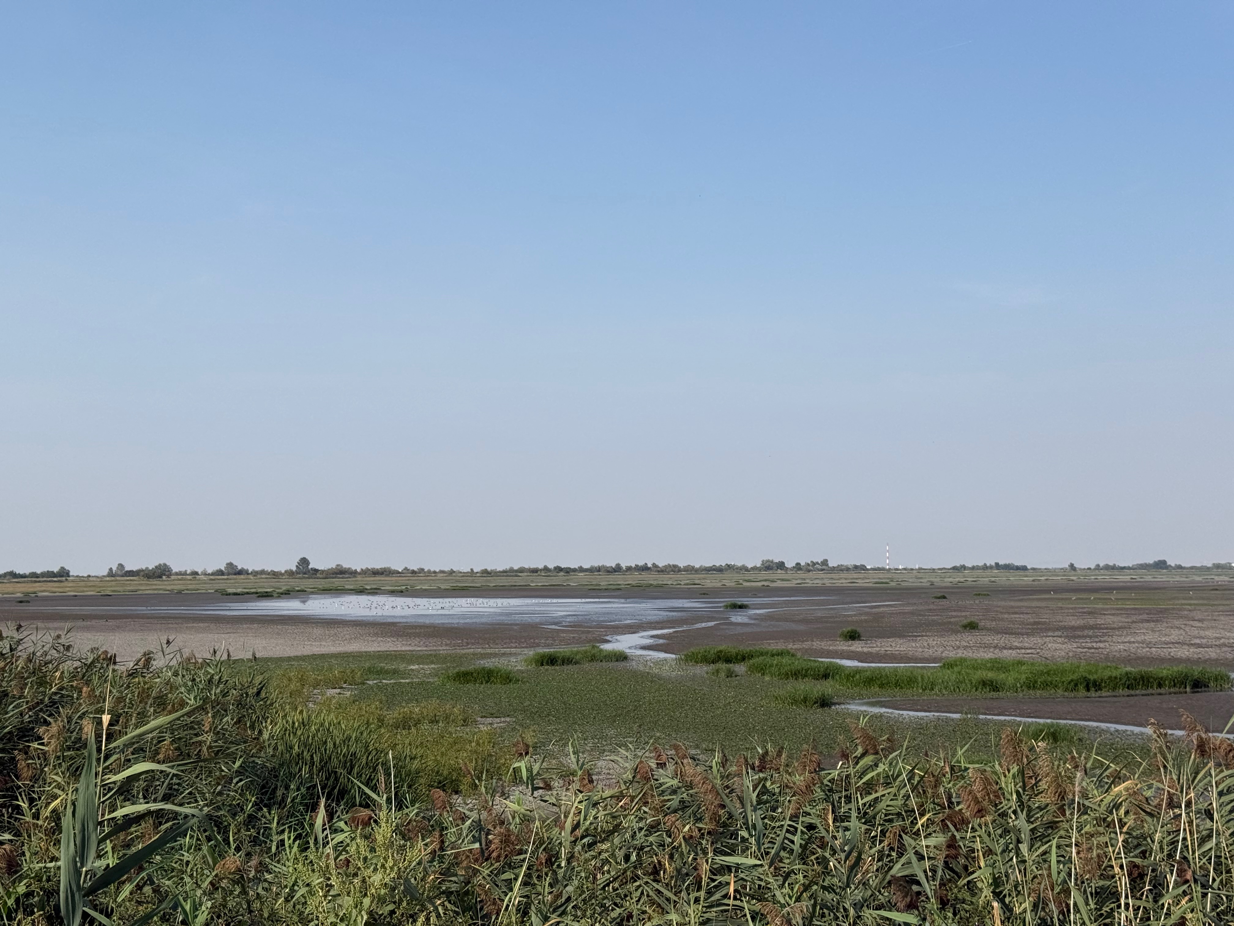 Belo Blato landscape