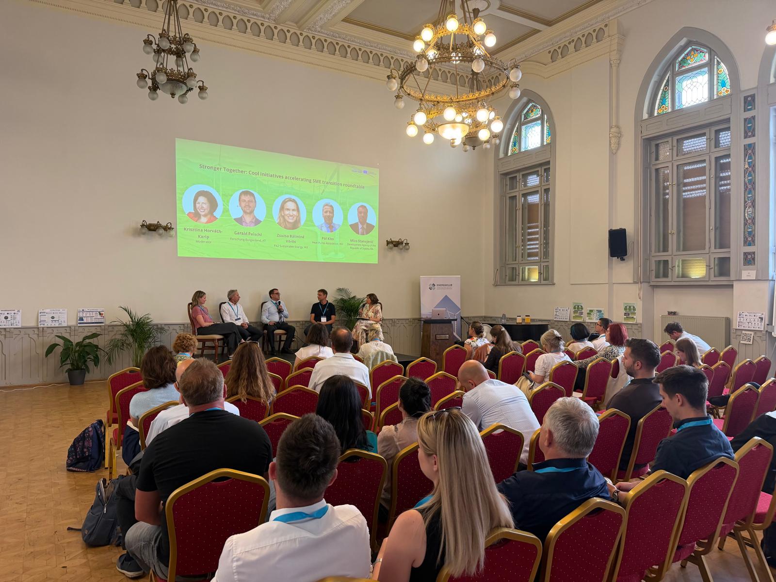 SMEnergy Cool Initiatives Panel